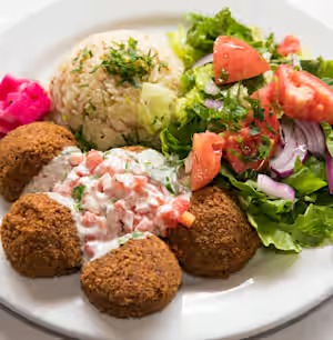 Falafel Entree